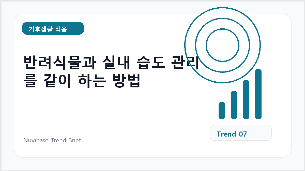 반려식물과 실내 습도 관리를 같이 하는 방법